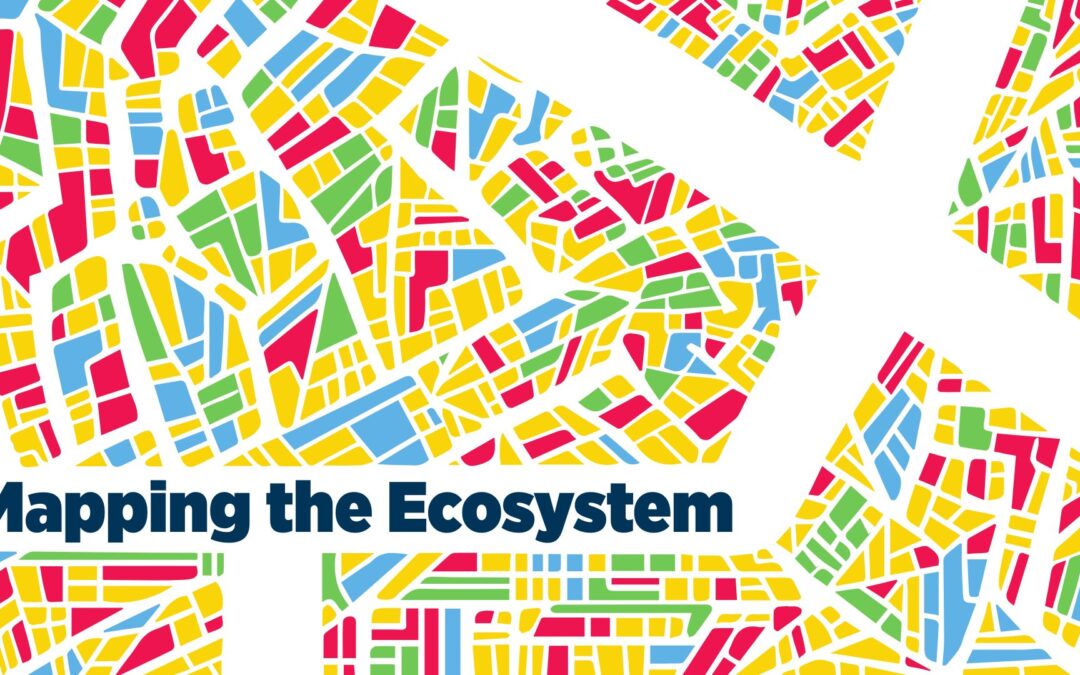 Mapping the entrepreneurial ecosystem: insights for founders