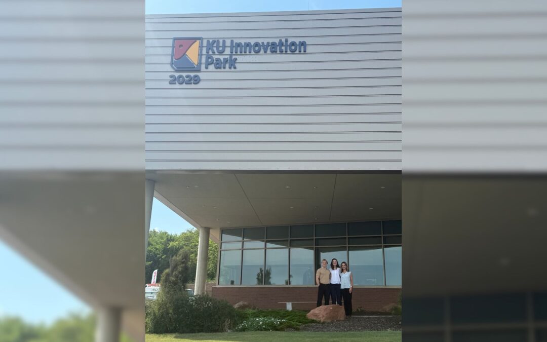 Now recruiting: spring 2026 business analysts